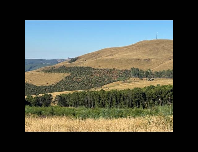 165HA FARM FOR SALE IN RICHMOND RURAL